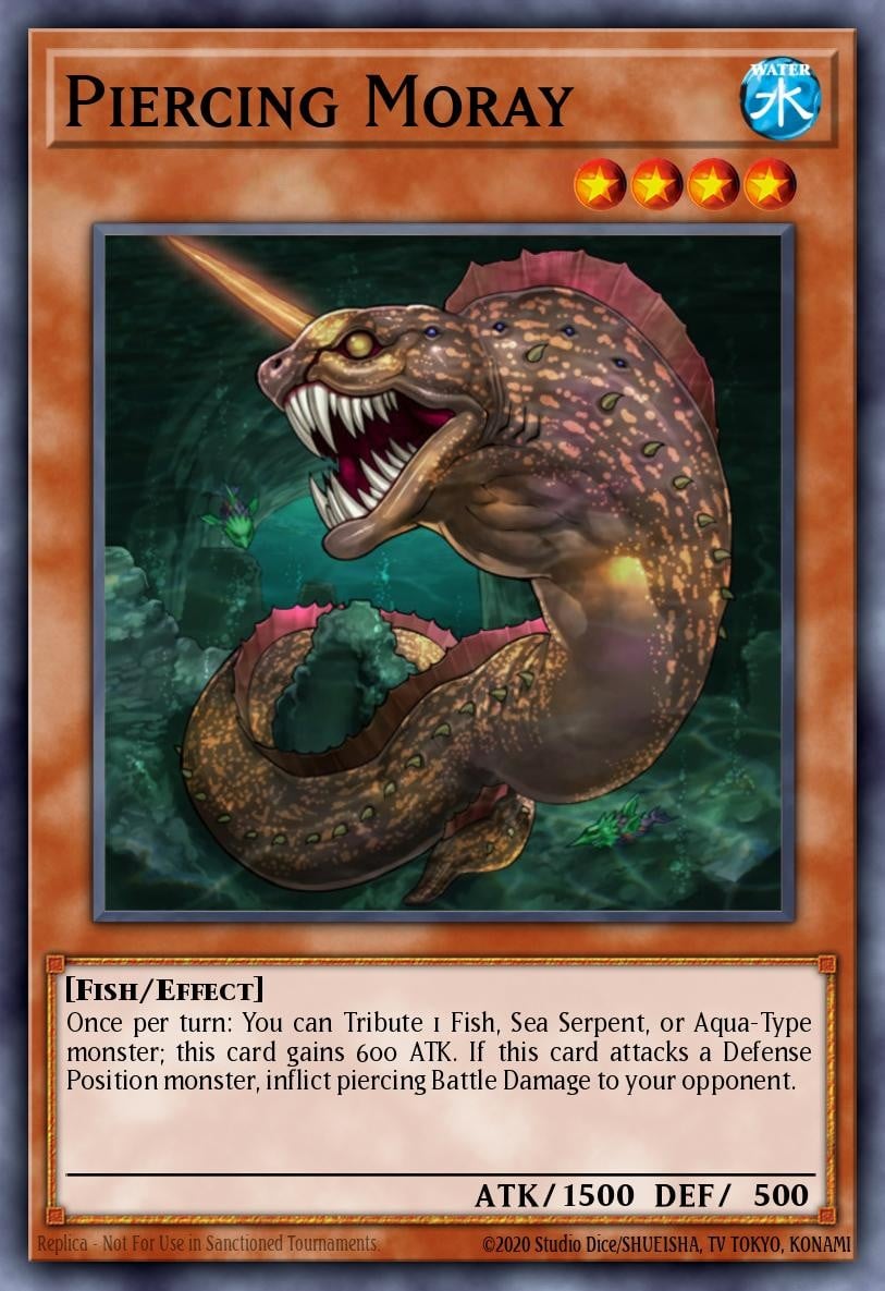 Piercing Moray - Image 1