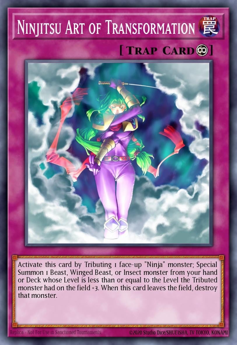 Ninjitsu Art of Transformation - Image 1