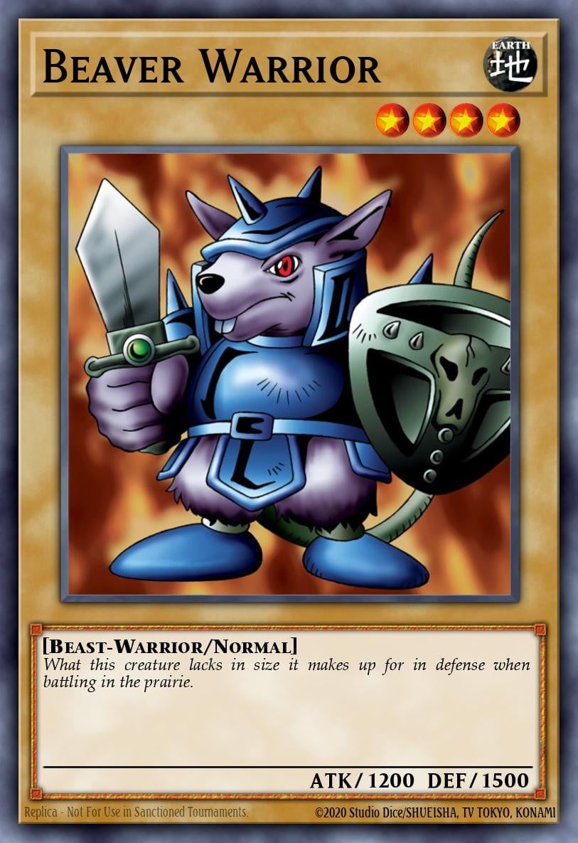 Beaver Warrior - Image 1