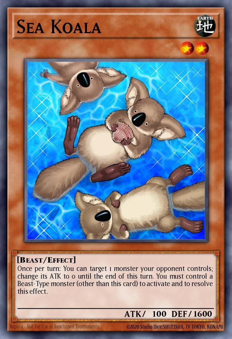 Sea Koala - Image 1