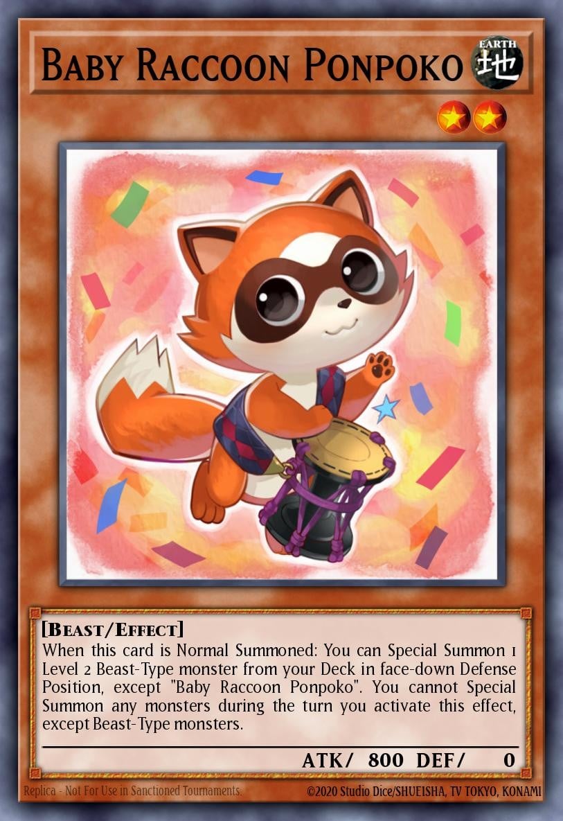 Baby Raccoon Ponpoko - Image 1