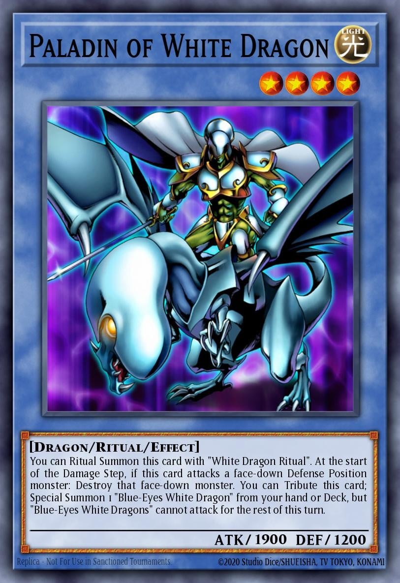 Paladin of White Dragon - Image 1