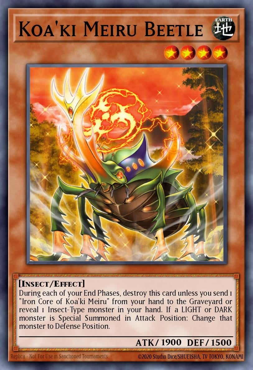 Koa'ki Meiru Beetle - Image 1
