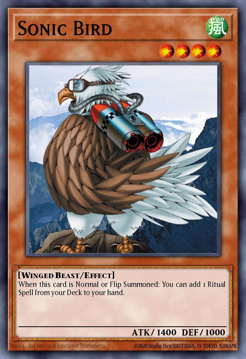 Sonic Bird - Image 1