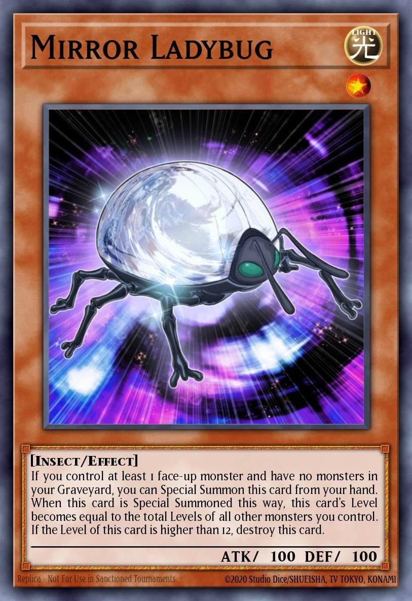 Mirror Ladybug - Image 1