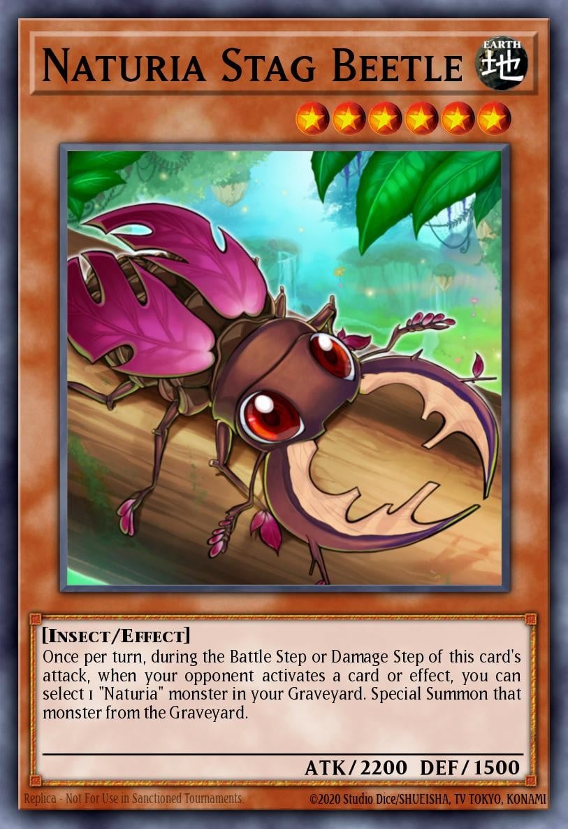 Naturia Stag Beetle - Image 1