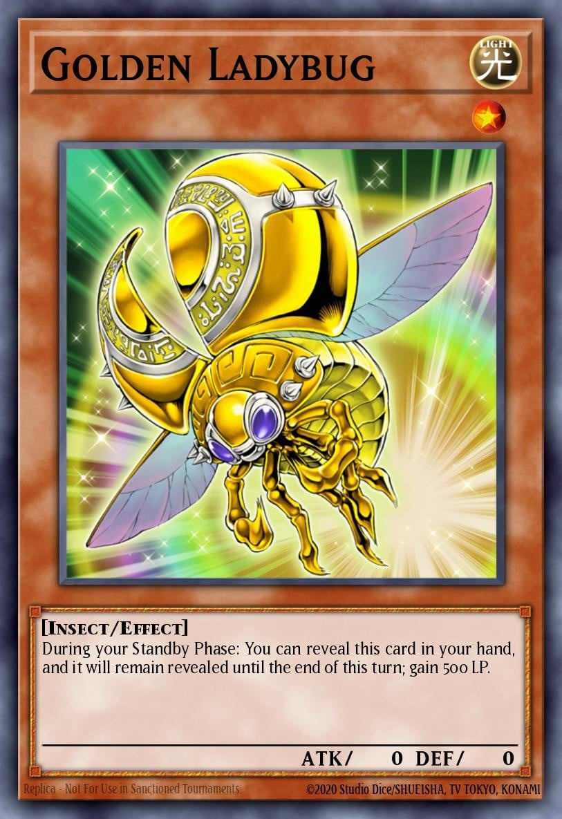 Golden Ladybug - Image 1