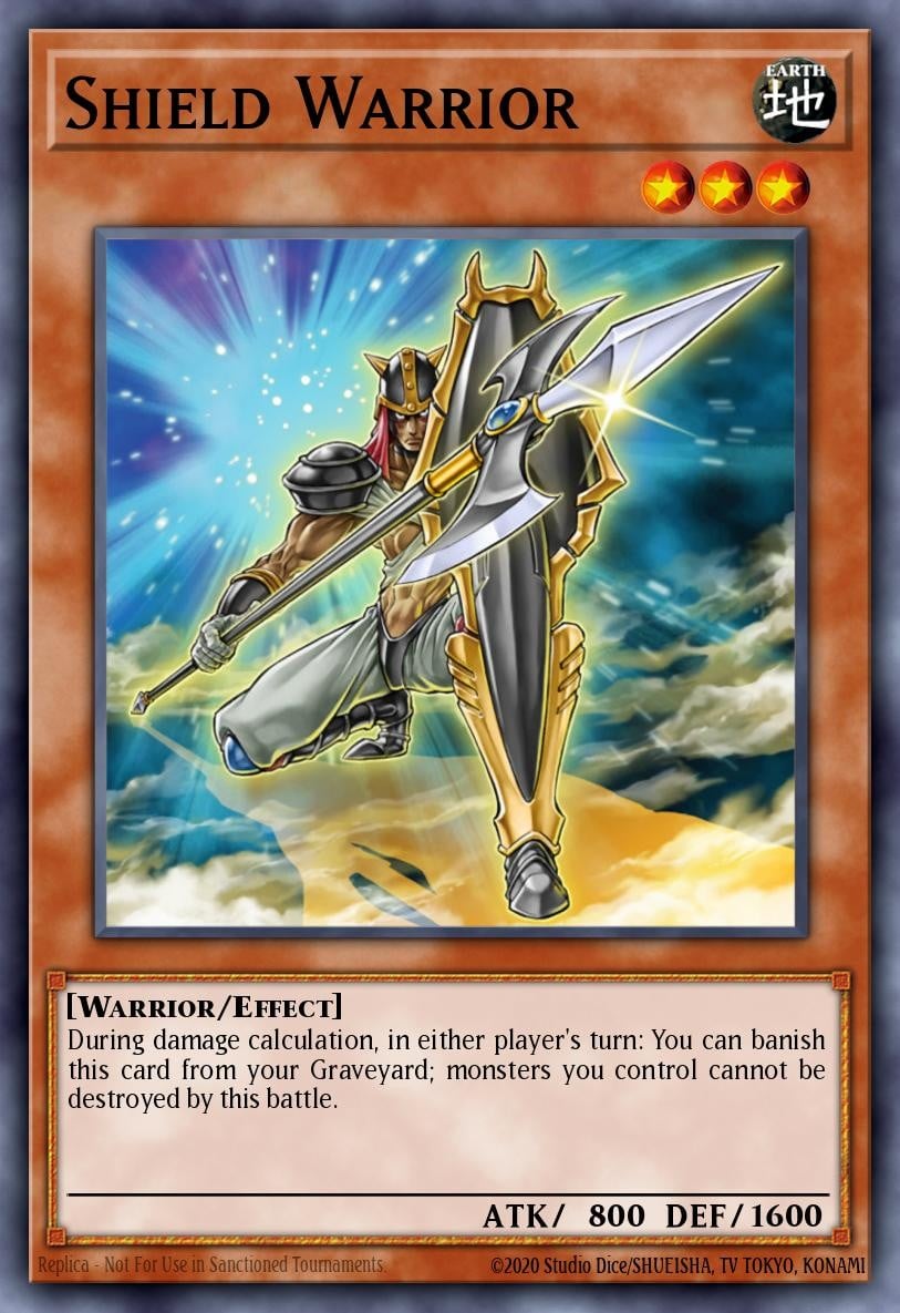 Shield Warrior - Image 1