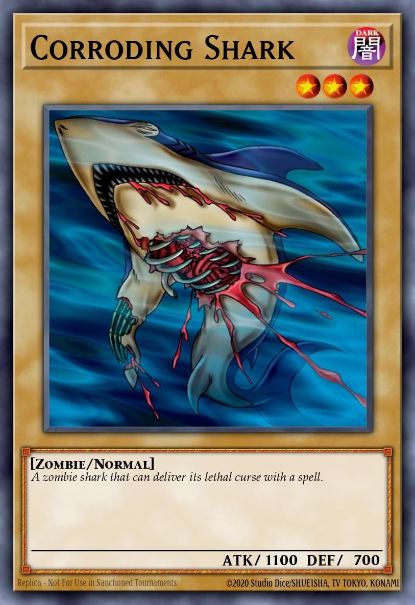 Corroding Shark - Image 1