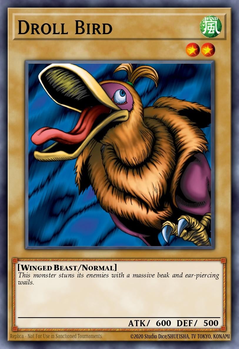 Droll Bird - Image 1