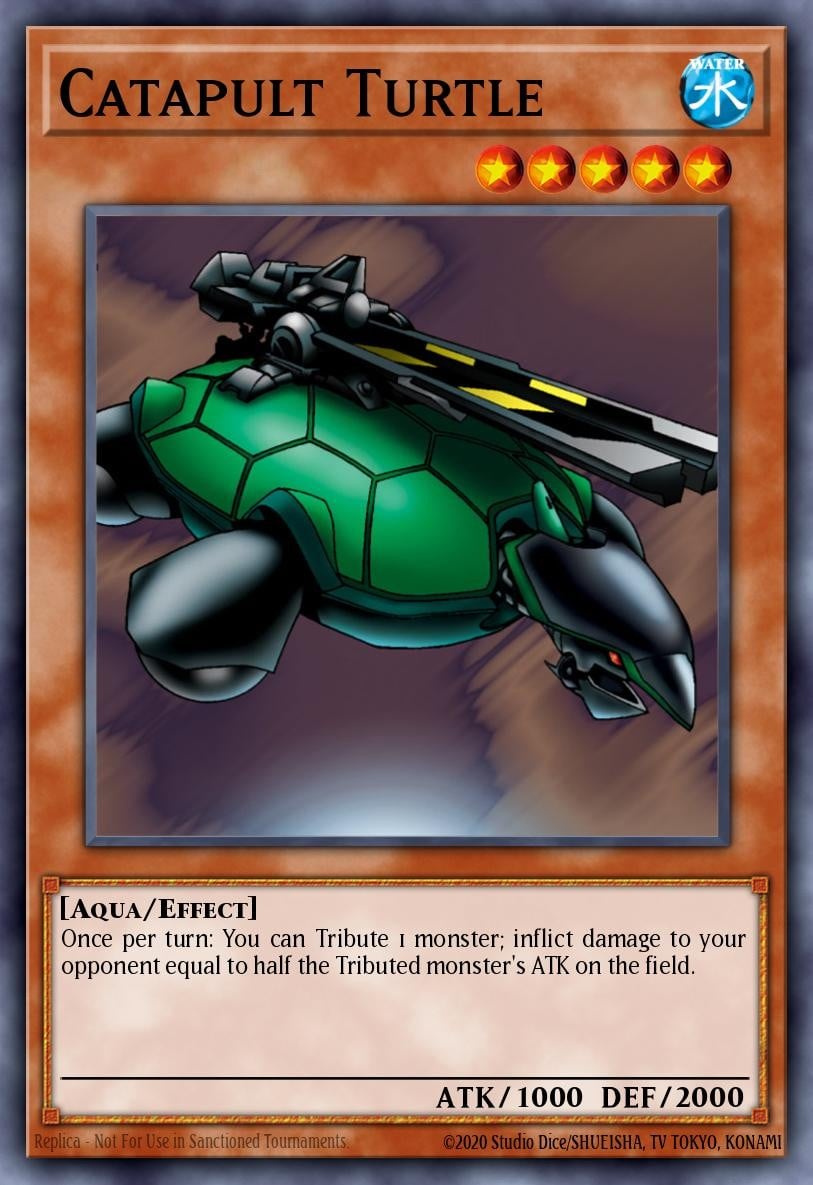 Catapult Turtle - Image 1