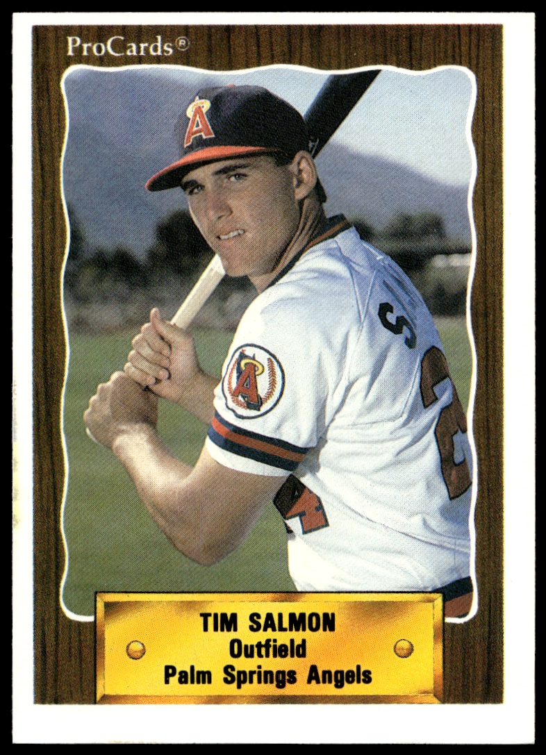 1990 ProCards Minor League 1990 ProCards Minor League #2593 trading card