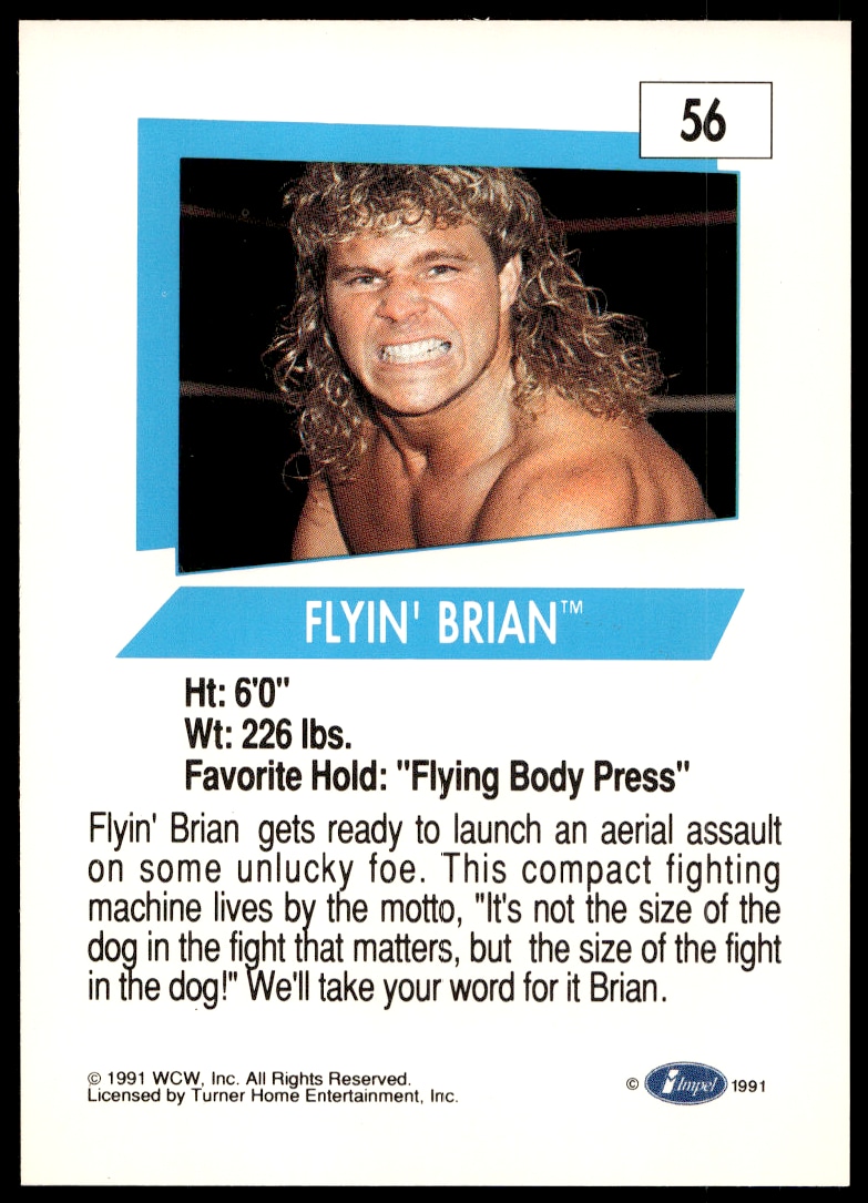 Flyin' Brian thumbnail 2