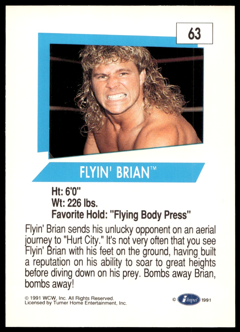 Flyin' Brian thumbnail 2