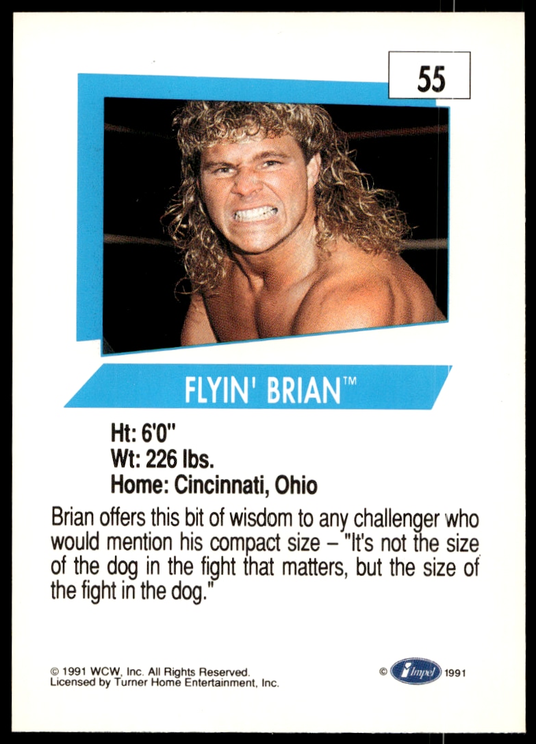 Flyin' Brian thumbnail 2