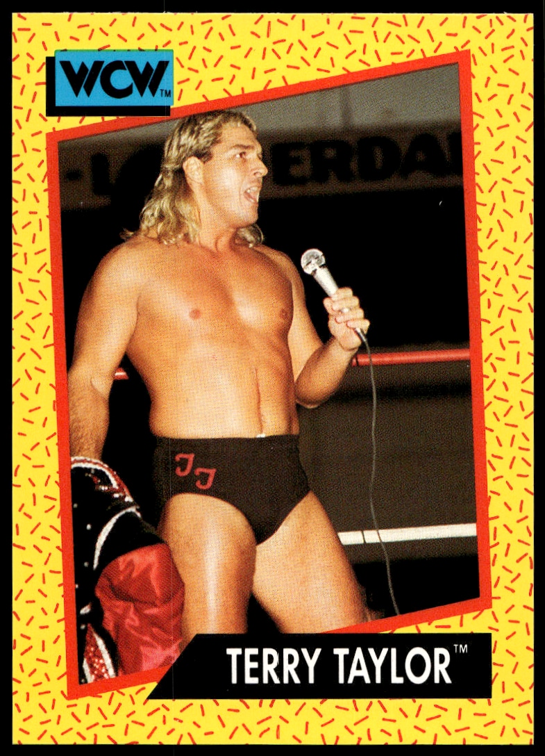 1991 Impel 1991 Impel #73 trading card