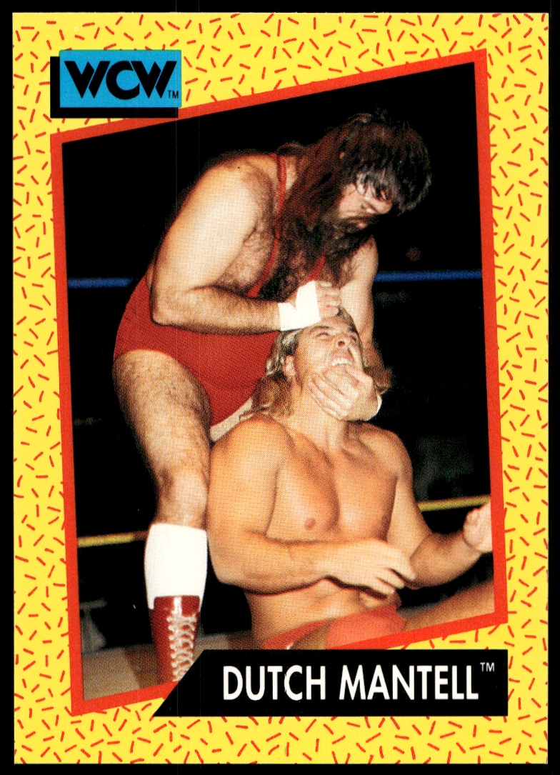 1991 Impel 1991 Impel #79 trading card
