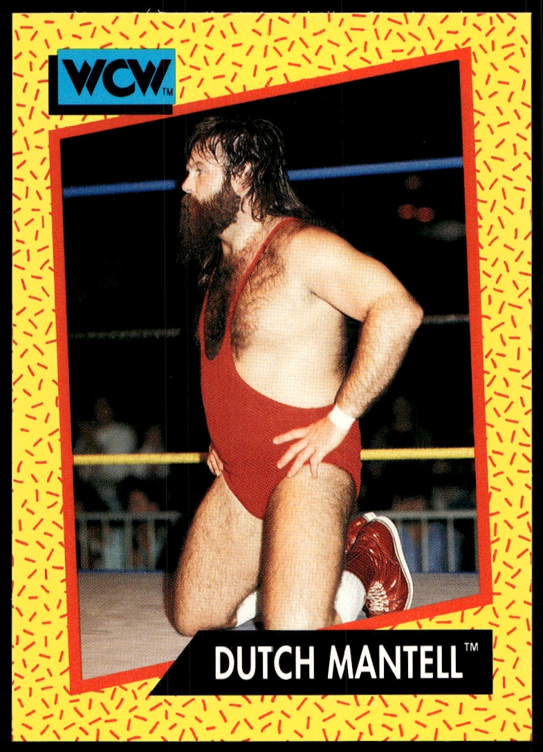 1991 Impel 1991 Impel #80 trading card