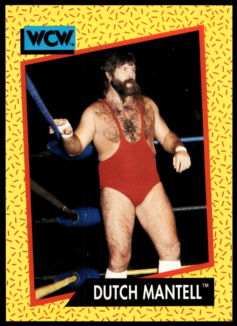 1991 Impel 1991 Impel #77 trading card