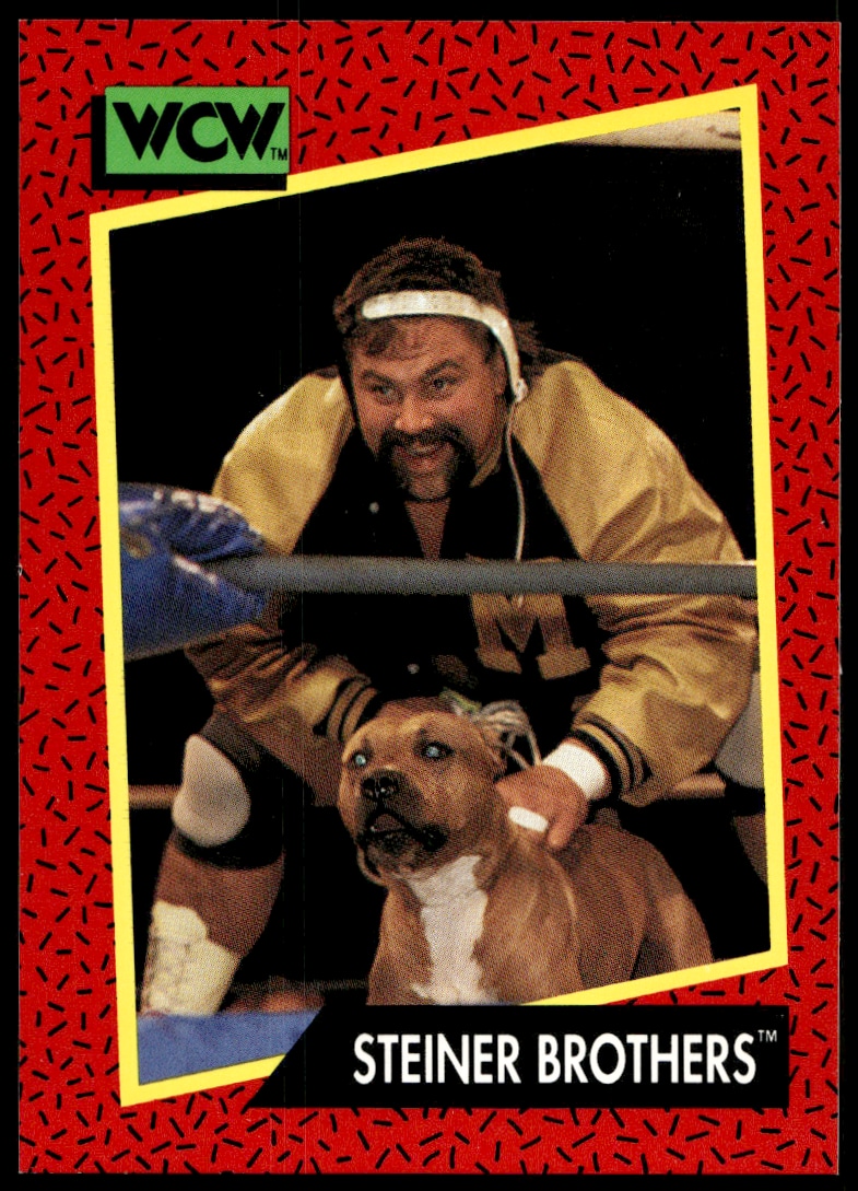 Steiner Brothers - Image 1