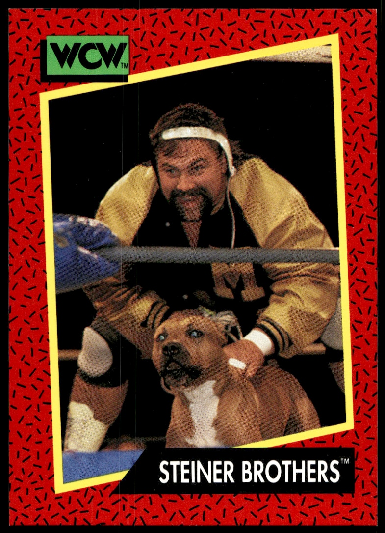 Steiner Brother - Image 1