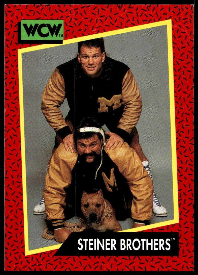 Steiner Brothers - Image 1