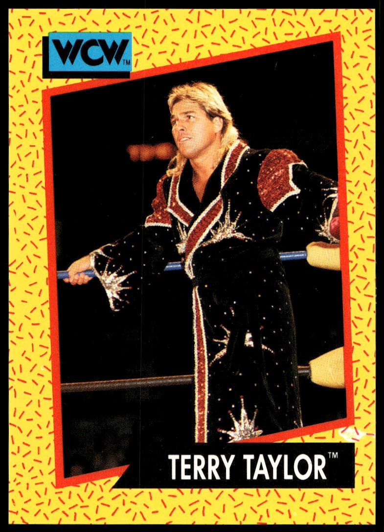 Terry Taylor - Image 1