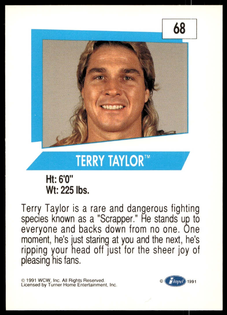 Terry Taylor thumbnail 2