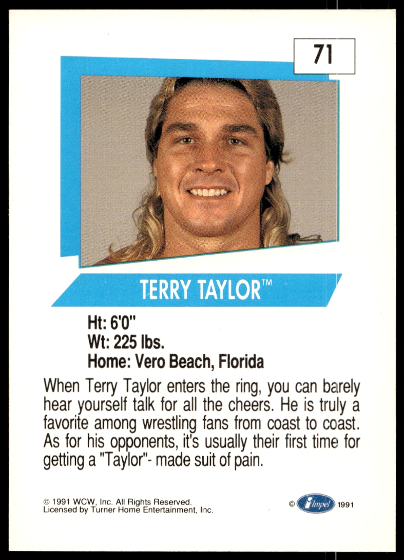 Terry Taylor thumbnail 2