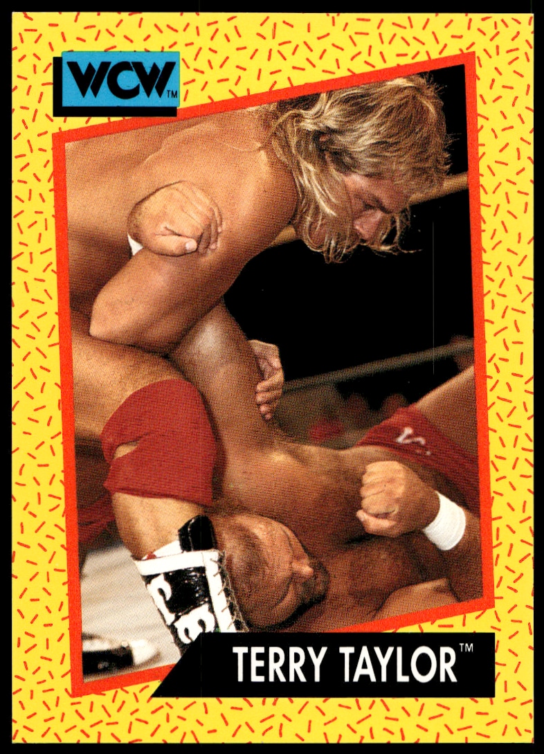 1991 Impel 1991 Impel #71 trading card