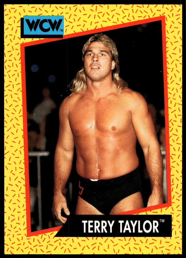 1991 Impel 1991 Impel #68 trading card