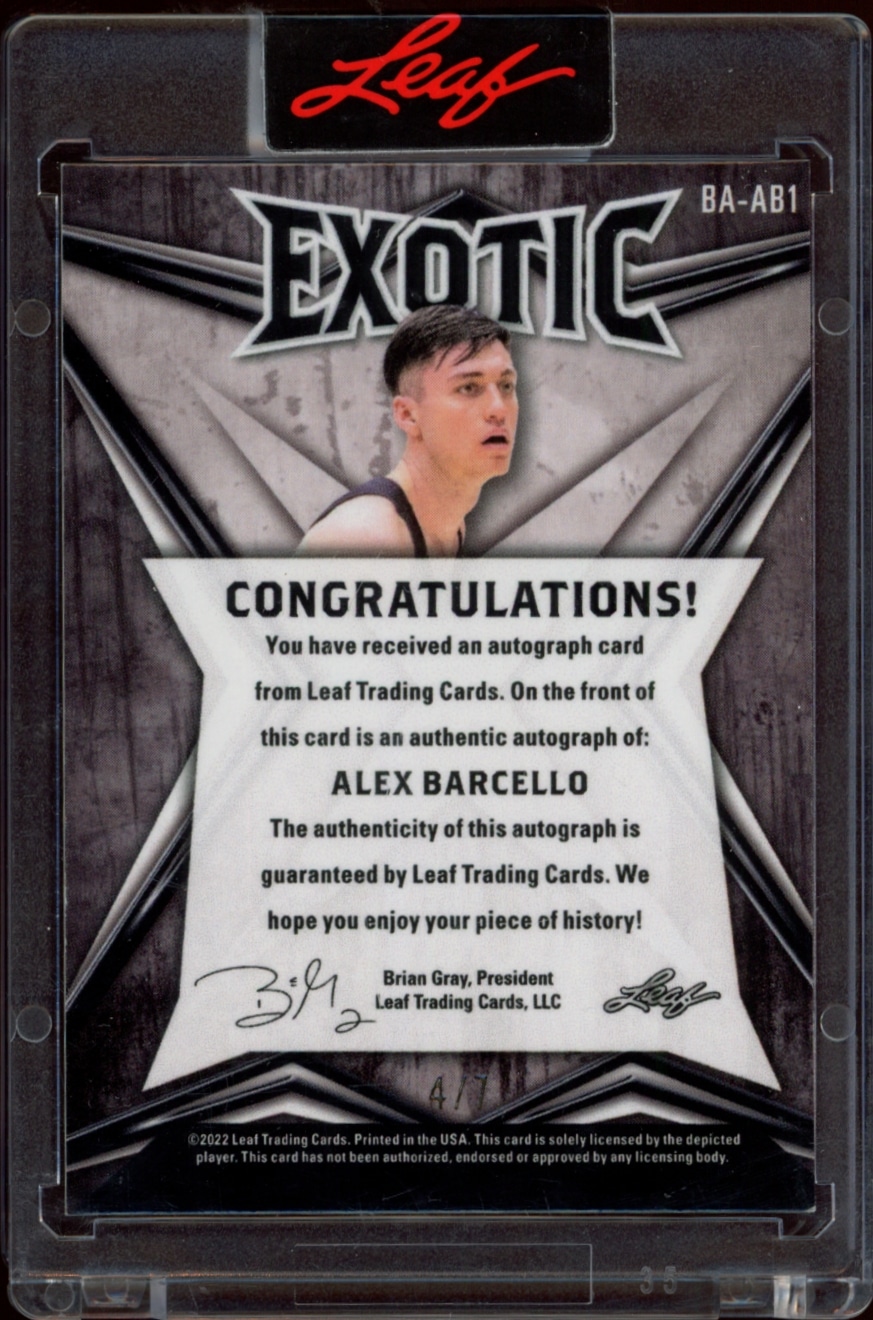 Alex Barcello thumbnail 2