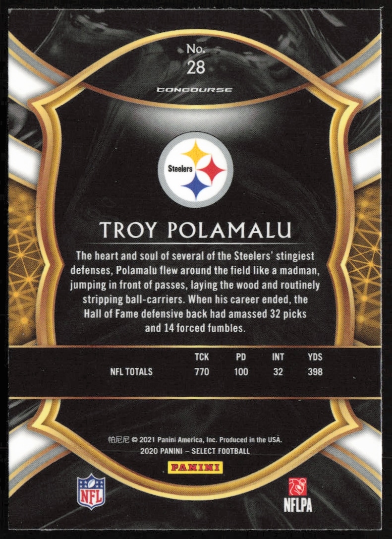 Troy Polamalu thumbnail 2
