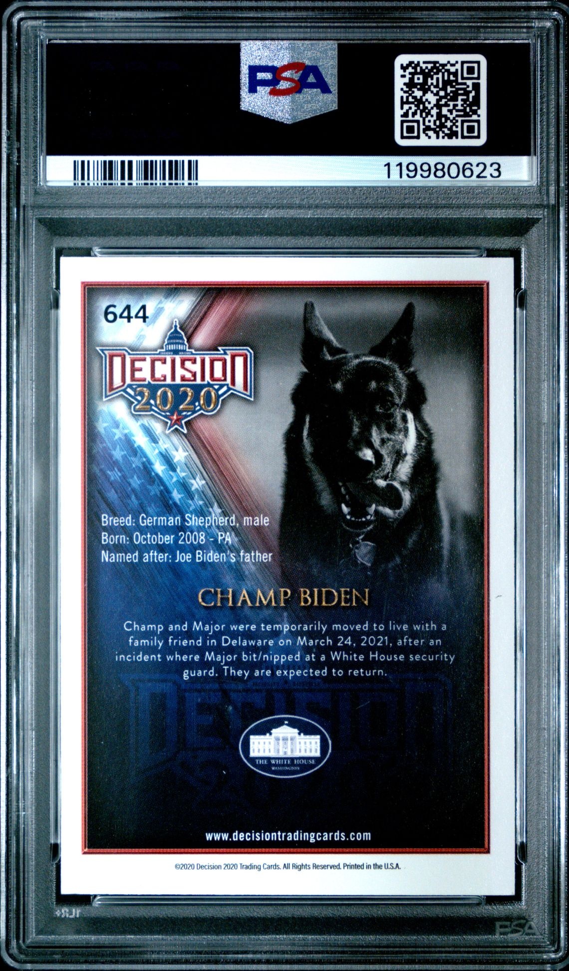Champ Biden thumbnail 2