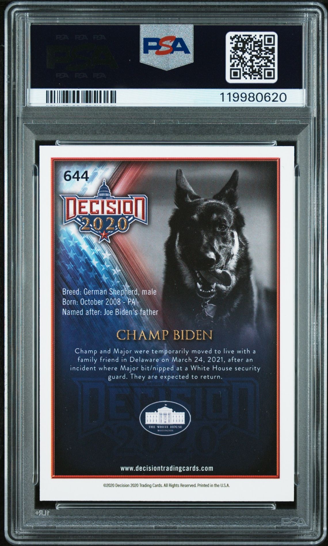 Champ Biden thumbnail 2