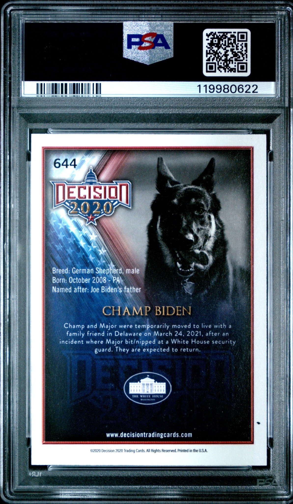 Champ Biden thumbnail 4