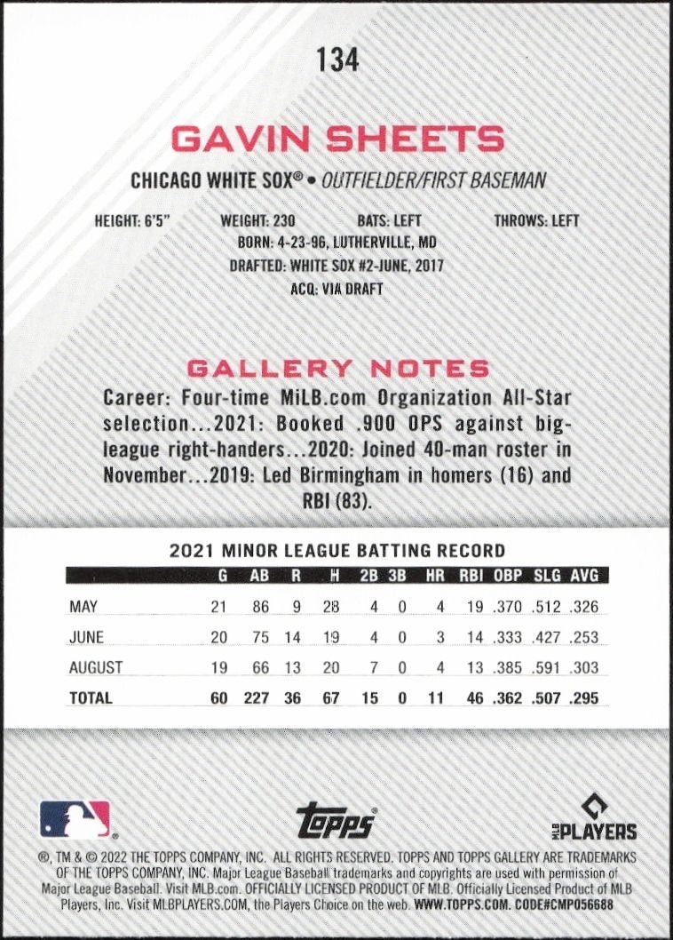 2022 Topps Gallery Gavin Sheets #134 baseball trading card back