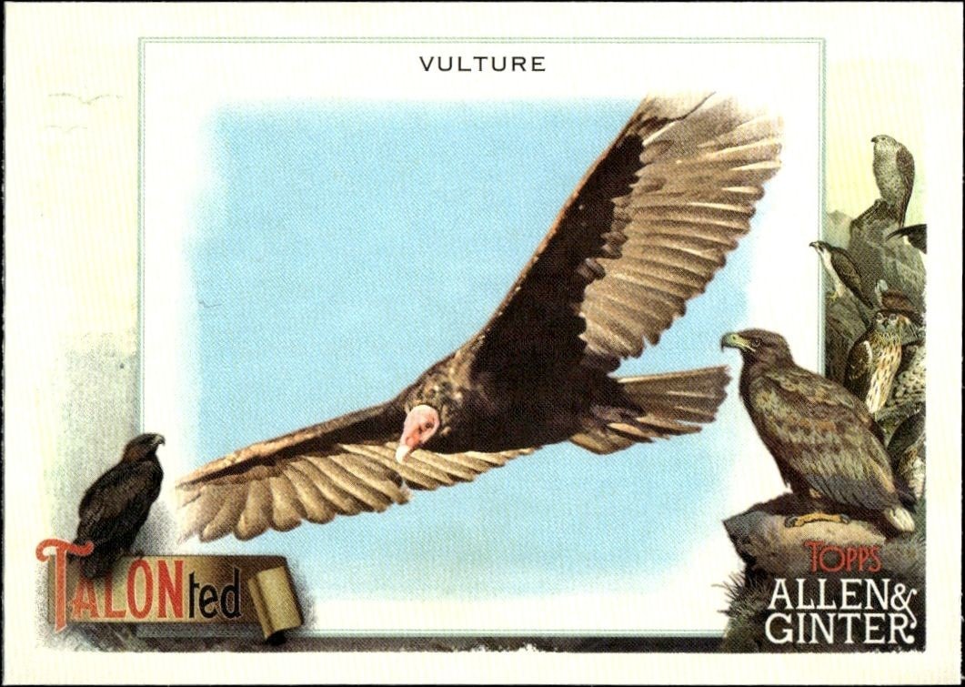 2023 Topps Allen & Ginter Vulture #TT-4 baseball trading card front