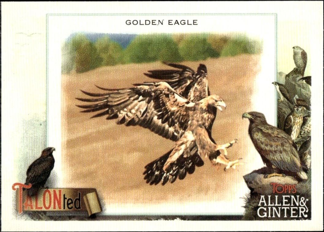 2023 Topps Allen & Ginter Golden Eagle #TT-9 baseball trading card front