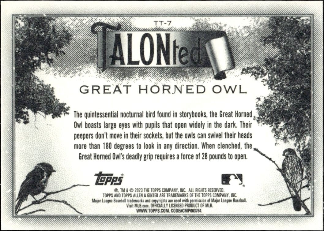 2023 Topps Allen & Ginter Great Horned Owl #TT-7 baseball trading card back