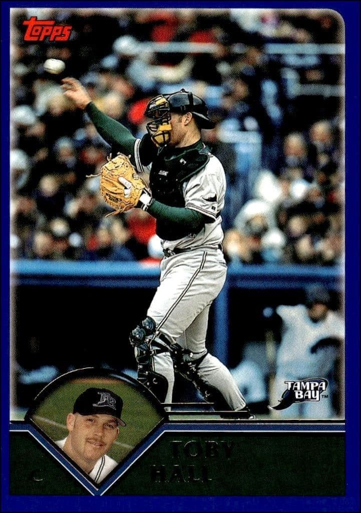 2003 Topps Series 2 Toby Hall #534 trading card