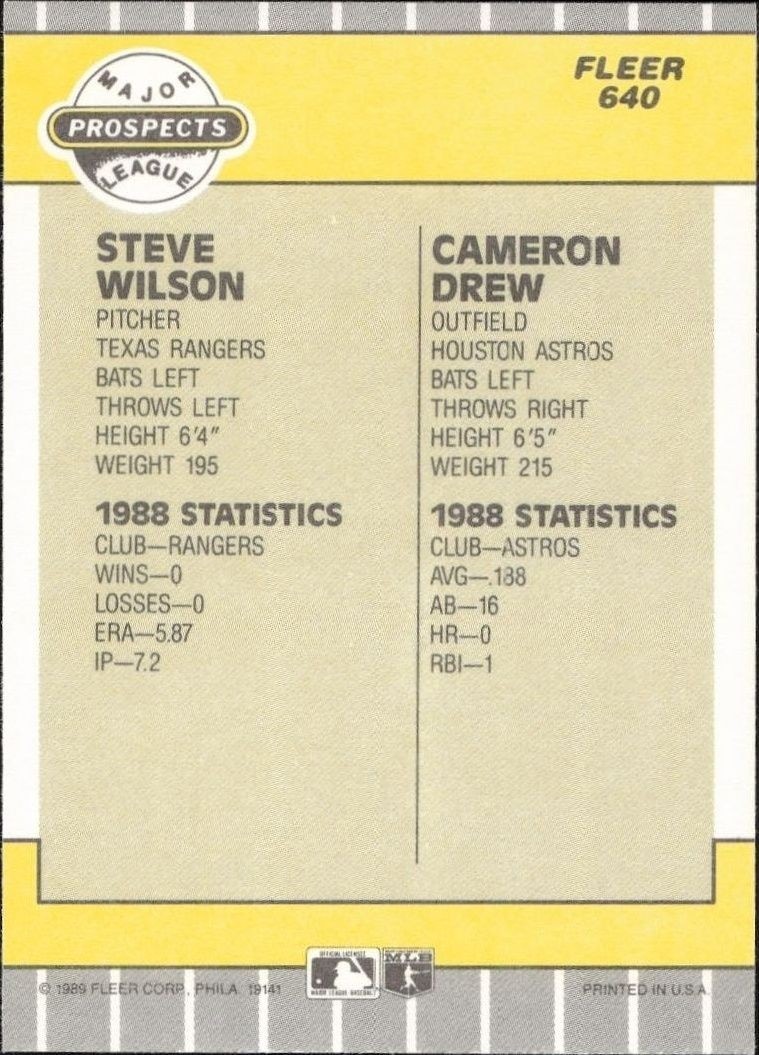 1989 Fleer Steve Wilson #640 baseball trading card back
