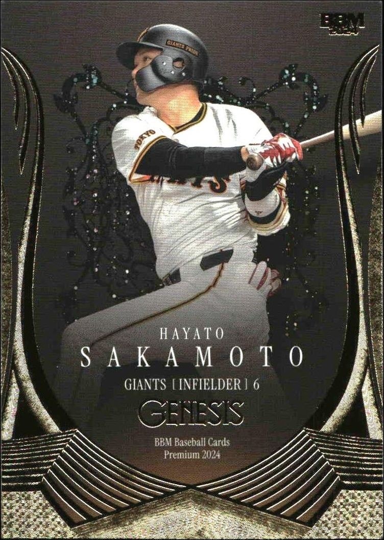 Hayato Sakamoto (Japanese)