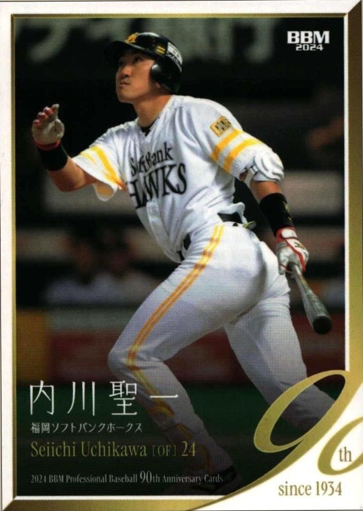 Seiichi Uchikawa (Japanese)