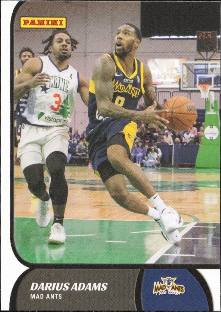 2021-22 Panini NBA G League Darius Adams #48 trading card