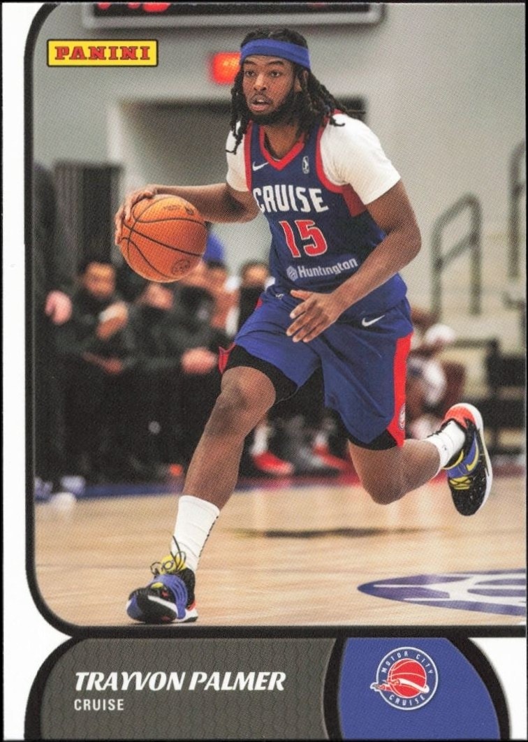 2021-22 Panini NBA G League Trayvon Palmer #102 trading card