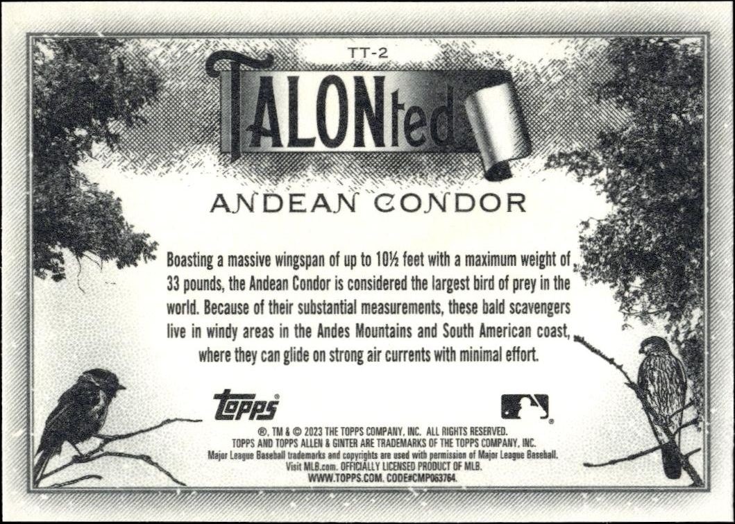2023 Topps Allen & Ginter Andean Condor #TT-2 baseball trading card back