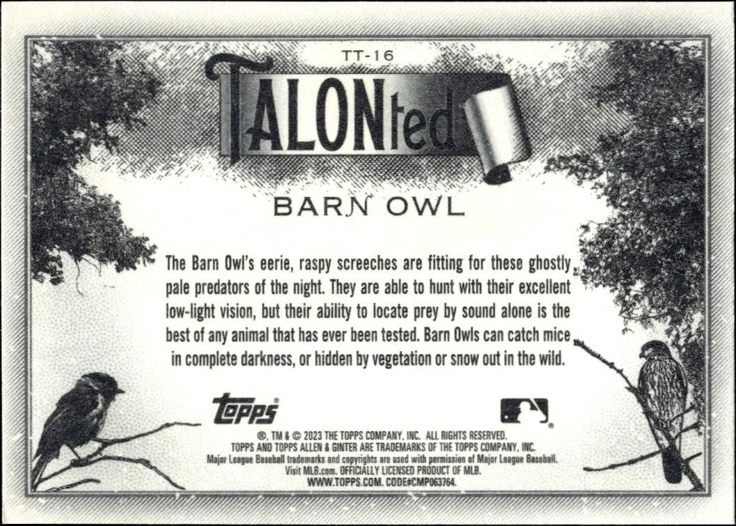 2023 Topps Allen & Ginter Barn Owl #TT-16 baseball trading card back