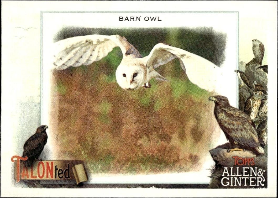 2023 Topps Allen & Ginter Barn Owl #TT-16 baseball trading card front