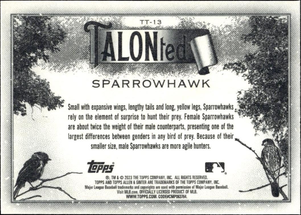 2023 Topps Allen & Ginter Sparrowhawk #TT-13 baseball trading card back